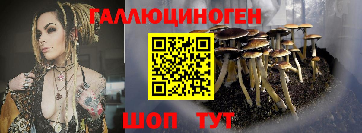 Михайловск  цена   Вход с VPN  Галлюциногенные грибы Cubensis 